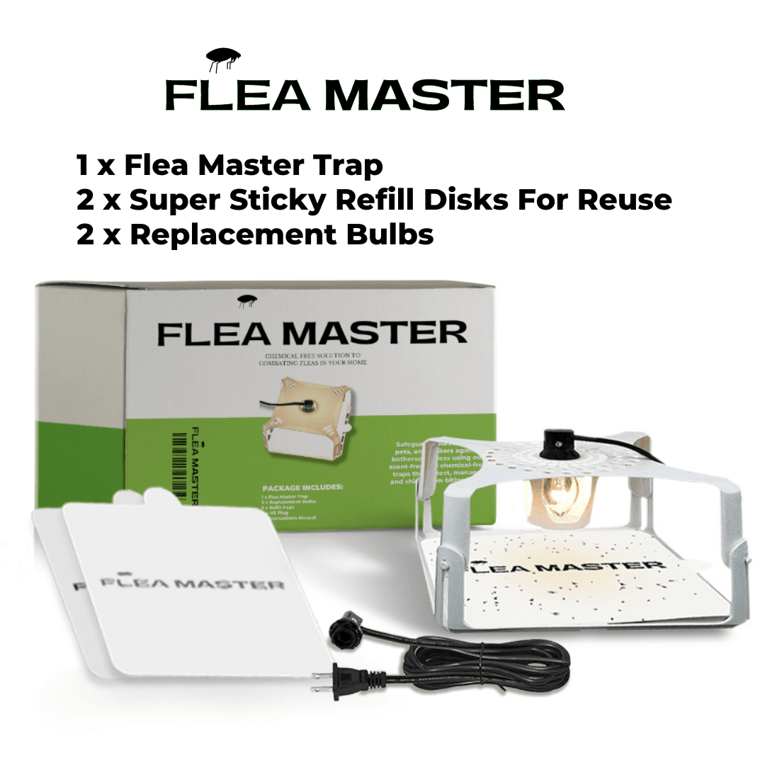 Flea Master [Free Gift]